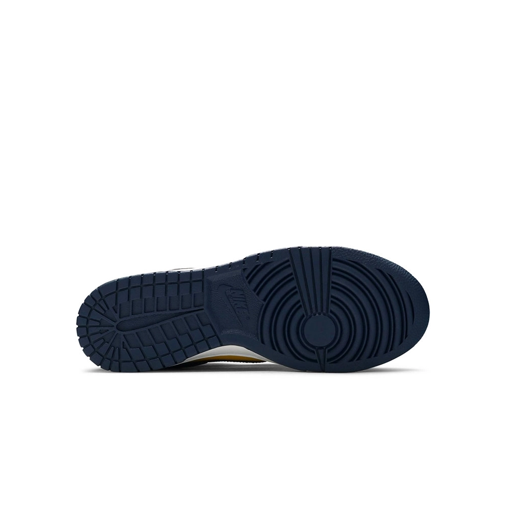 DUNK LOW MICHIGAN 2021,Dunk SB,NIKE SHOES Reps