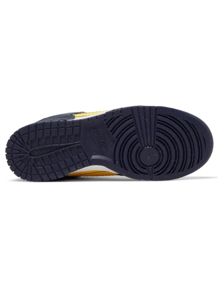 Dunk Low Disrupt 2 Michigan,Dunk SB,NIKE SHOES Reps
