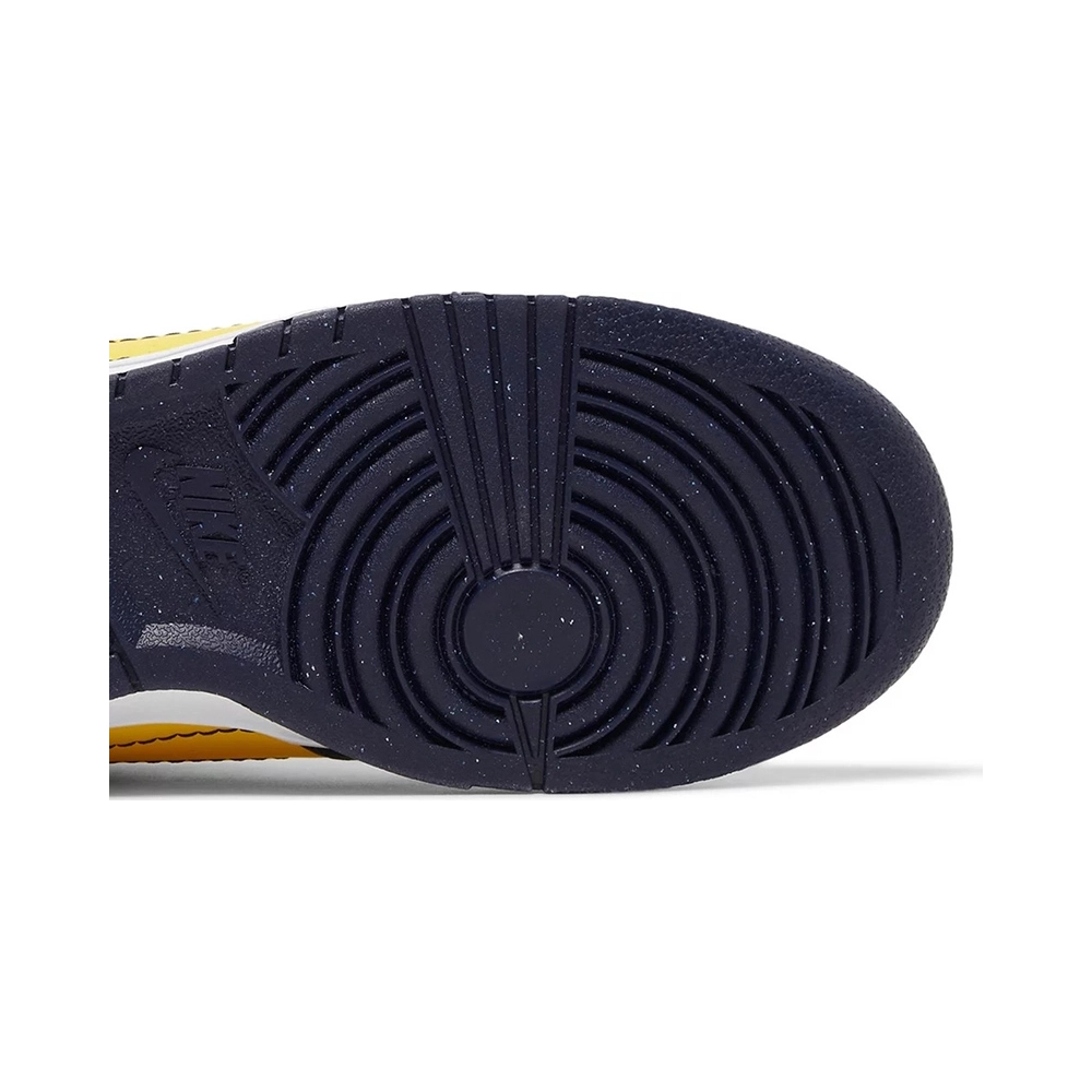Dunk Low Disrupt 2 Michigan,Dunk SB,NIKE SHOES Reps