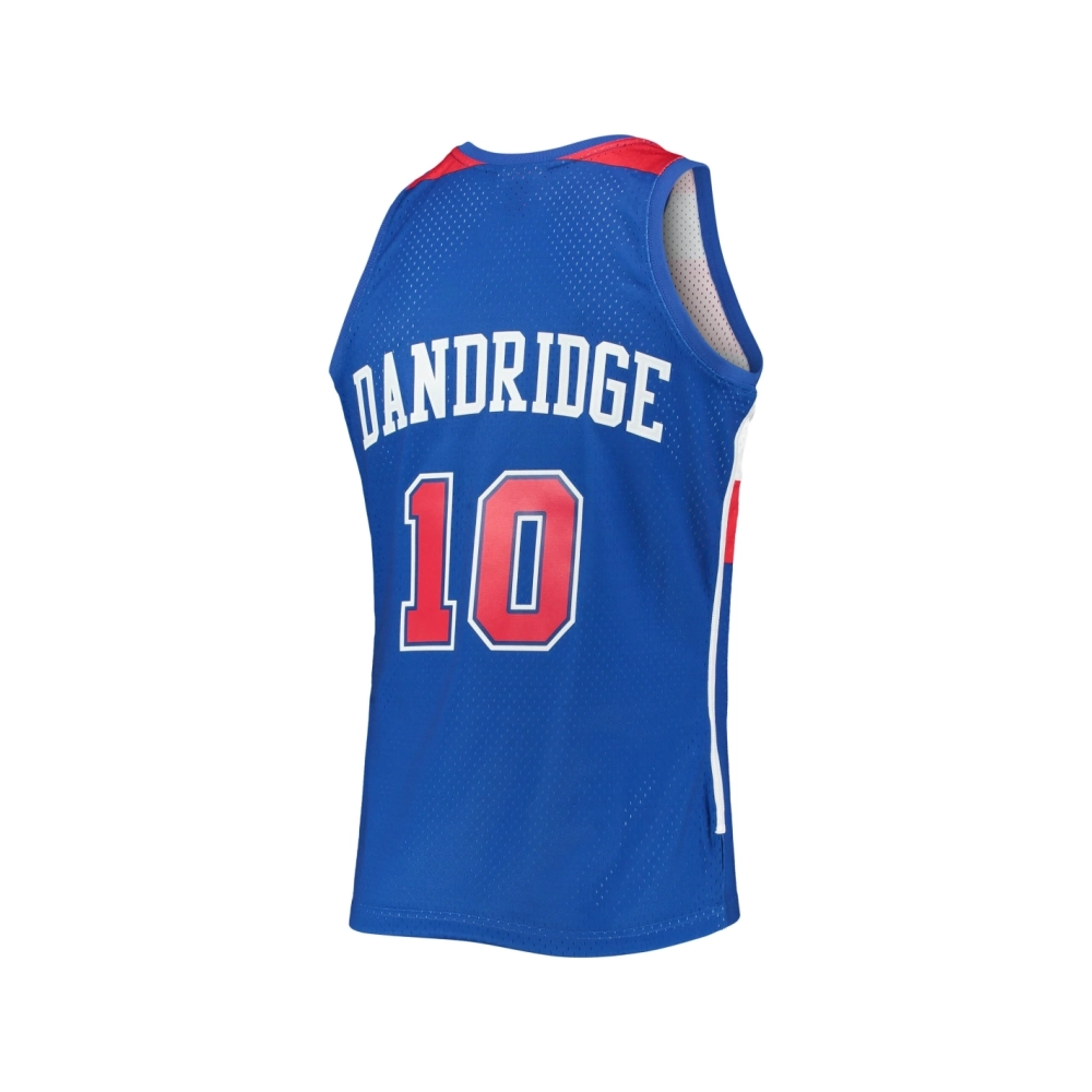 Mens Washington Bullets Bob Dandridge Blue 1977/78 Hardwood Classics Swingman Jersey