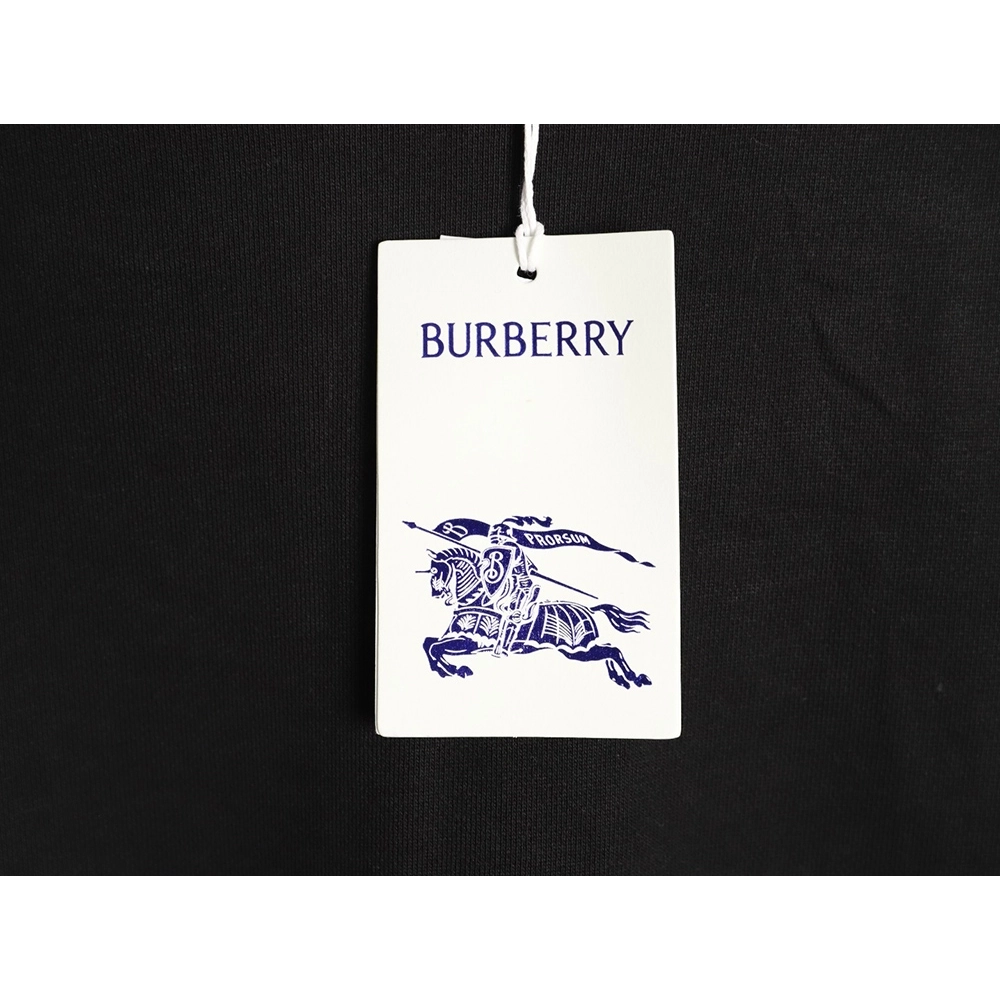 Burberry Check Patch Lettering Embroidered Crew Neck Sweatshirt TSK1,Burberry