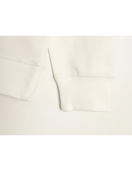 Dior dinosaur embroidered crewneck sweatshirt,Dior Sweatshirt,Sweatshirt,APPAREL