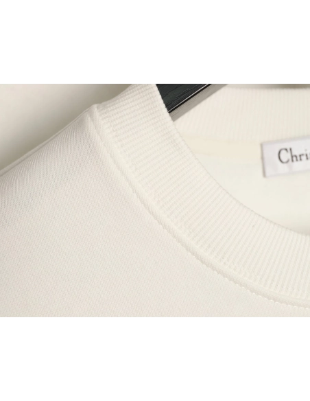 Dior dinosaur embroidered crewneck sweatshirt,Dior Sweatshirt,Sweatshirt,APPAREL