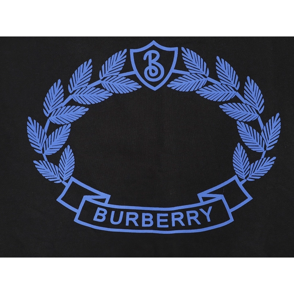 Burberry embroidered crewneck sweatshirt,Burberry Sweatshirt,Sweatshirt,APPAREL