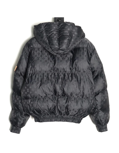 Louis Vuitton obscure armband hooded down jacket,Louis Vuitton Jacket,Jacket,APPAREL
