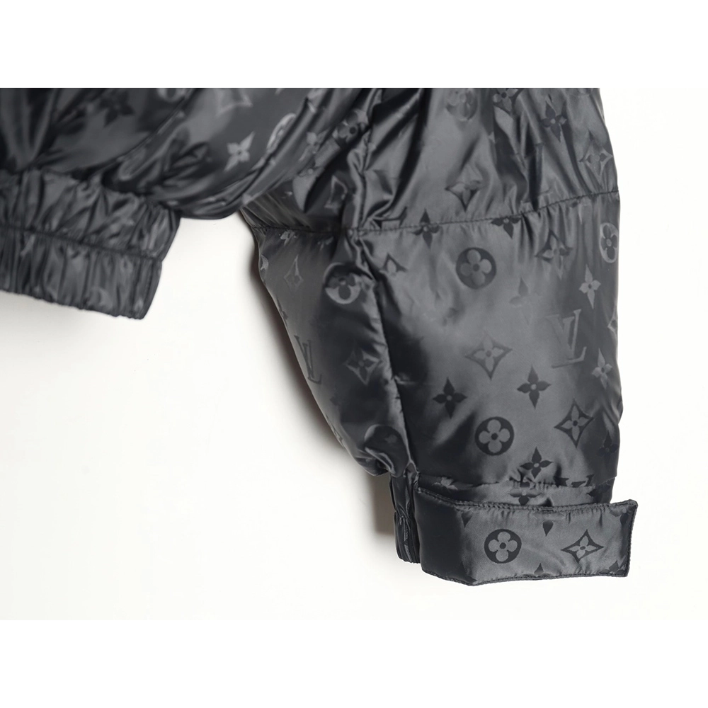 Louis Vuitton obscure armband hooded down jacket,Louis Vuitton Jacket,Jacket,APPAREL