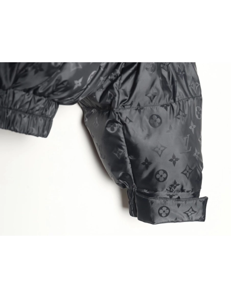 Louis Vuitton obscure armband hooded down jacket,Louis Vuitton Jacket,Jacket,APPAREL