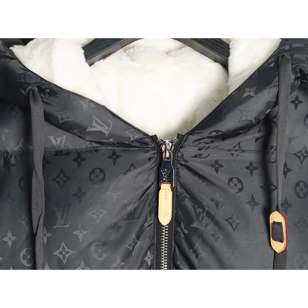 Louis Vuitton obscure armband hooded down jacket,Louis Vuitton Jacket,Jacket,APPAREL