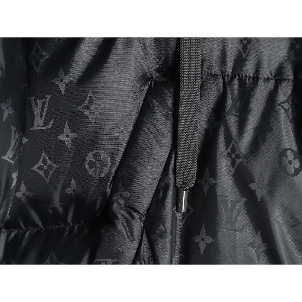 Louis Vuitton obscure armband hooded down jacket,Louis Vuitton Jacket,Jacket,APPAREL