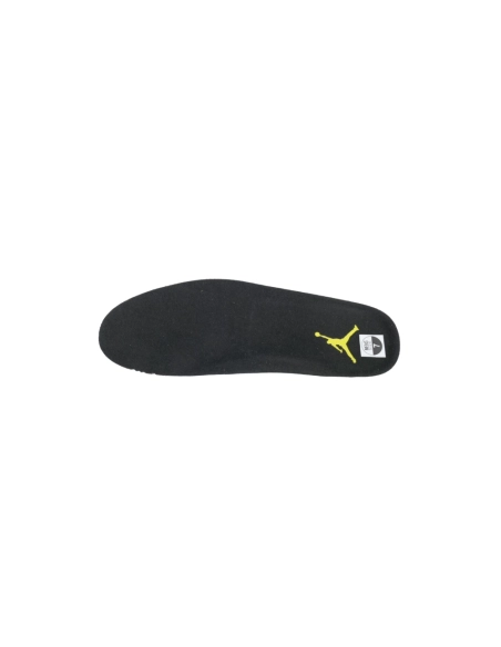 Air Jordan 11 Retro Tropical CT8012-037