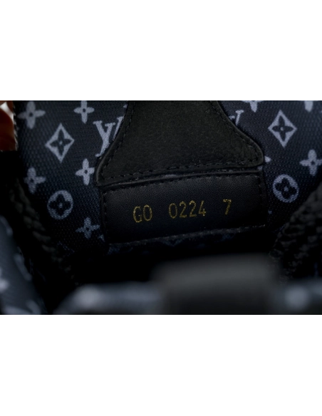 Louis Vuitton LV Skate Sneaker All Black