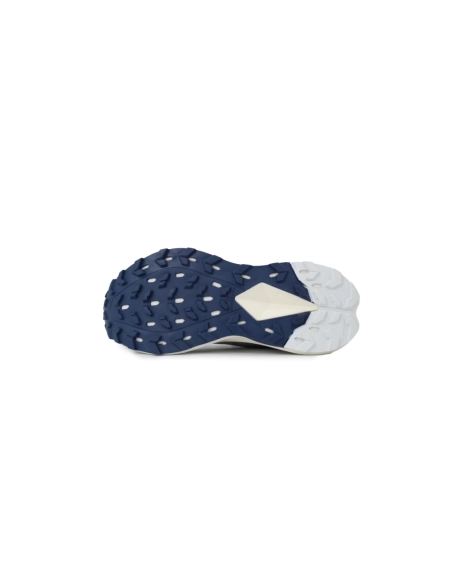 The North Face Vectiv Enduris 4 Blue