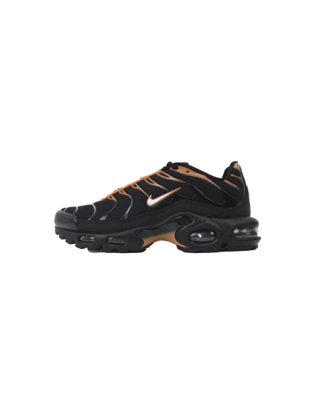 Nike Air Max Plus Dark Obsidian Monarch FN6949-400