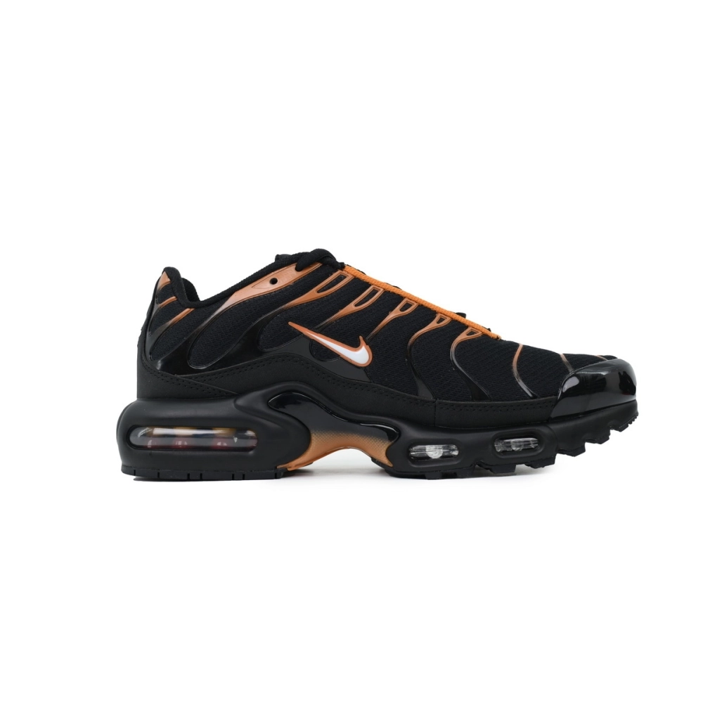 Nike Air Max Plus Dark Obsidian Monarch FN6949-400