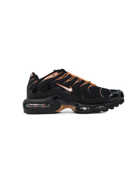 Nike Air Max Plus Dark Obsidian Monarch FN6949-400