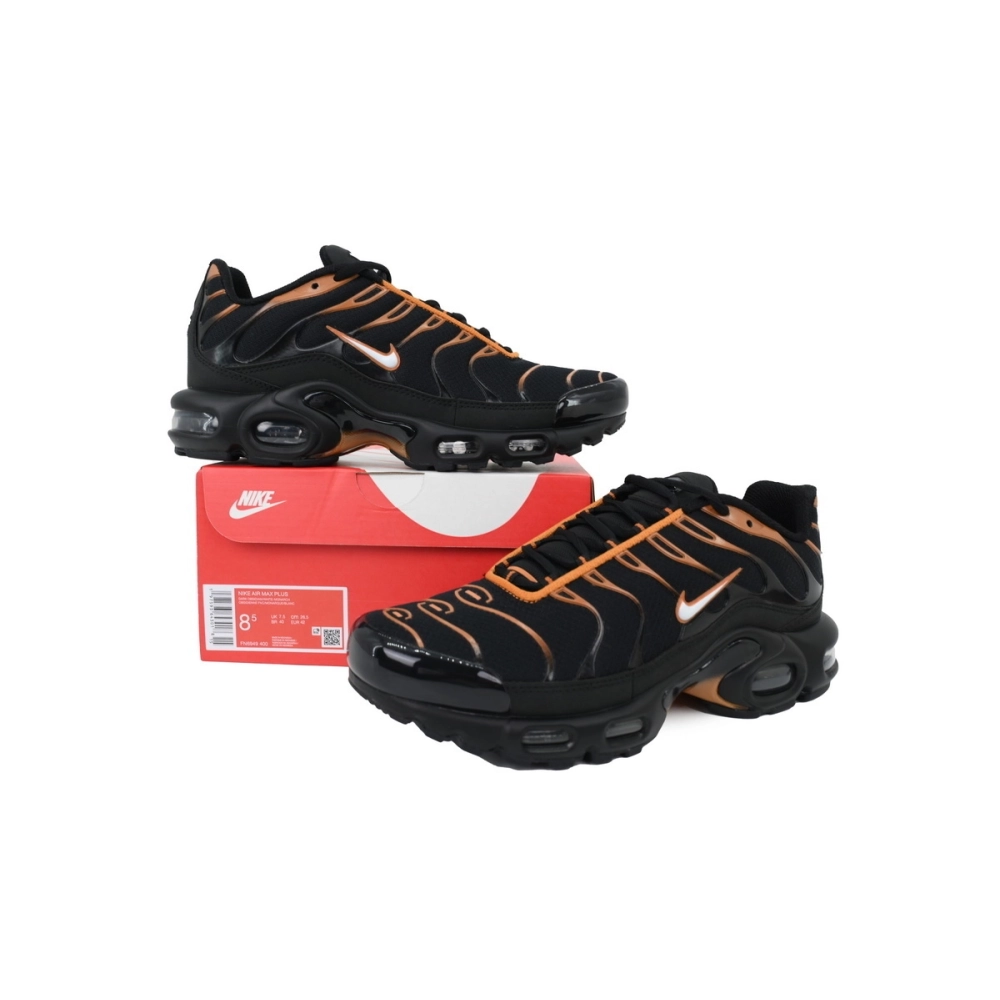 Nike Air Max Plus Dark Obsidian Monarch FN6949-400