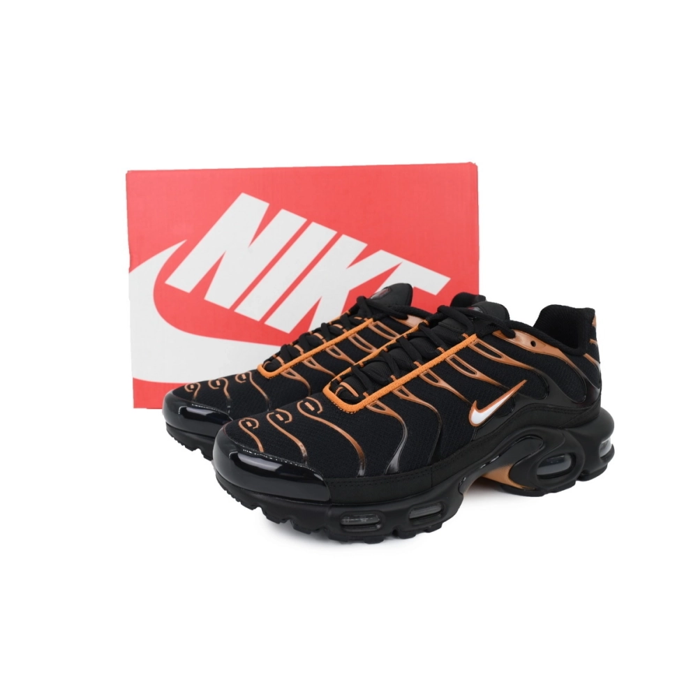Nike Air Max Plus Dark Obsidian Monarch FN6949-400