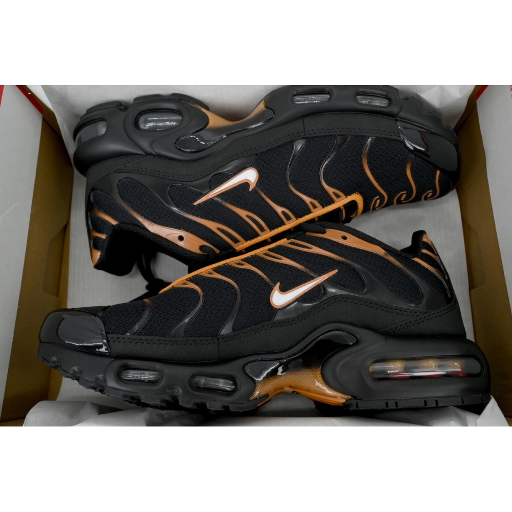 Nike Air Max Plus Dark Obsidian Monarch FN6949-400