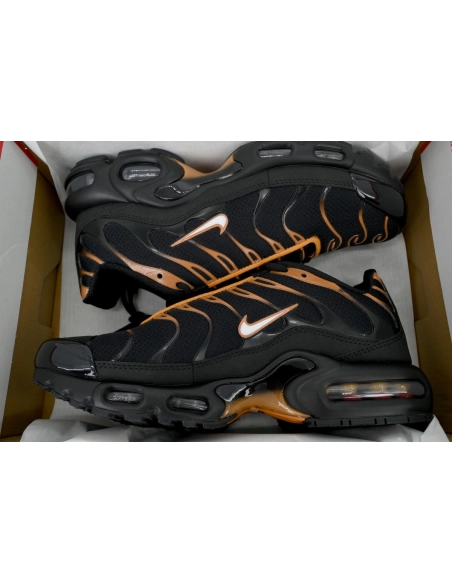 Nike Air Max Plus Dark Obsidian Monarch FN6949-400