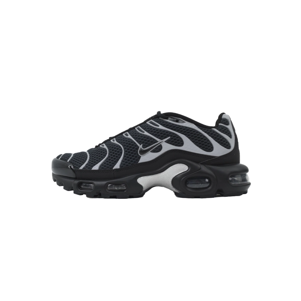 Nike Air Max Plus Premium Black Metallic Silver HQ3029-001