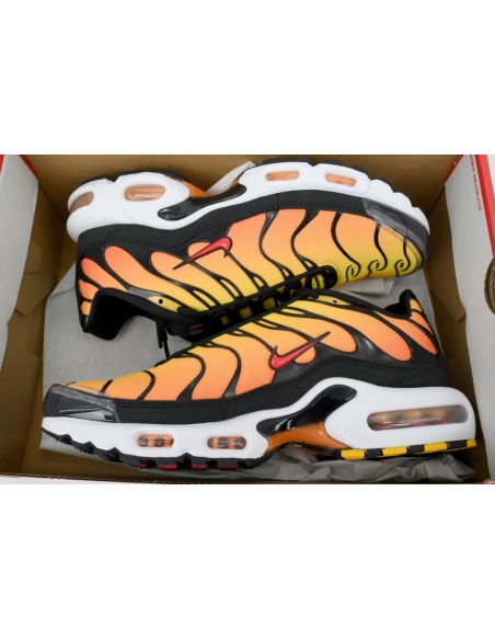 Nike Air Max Plus Sunset HF0552-001