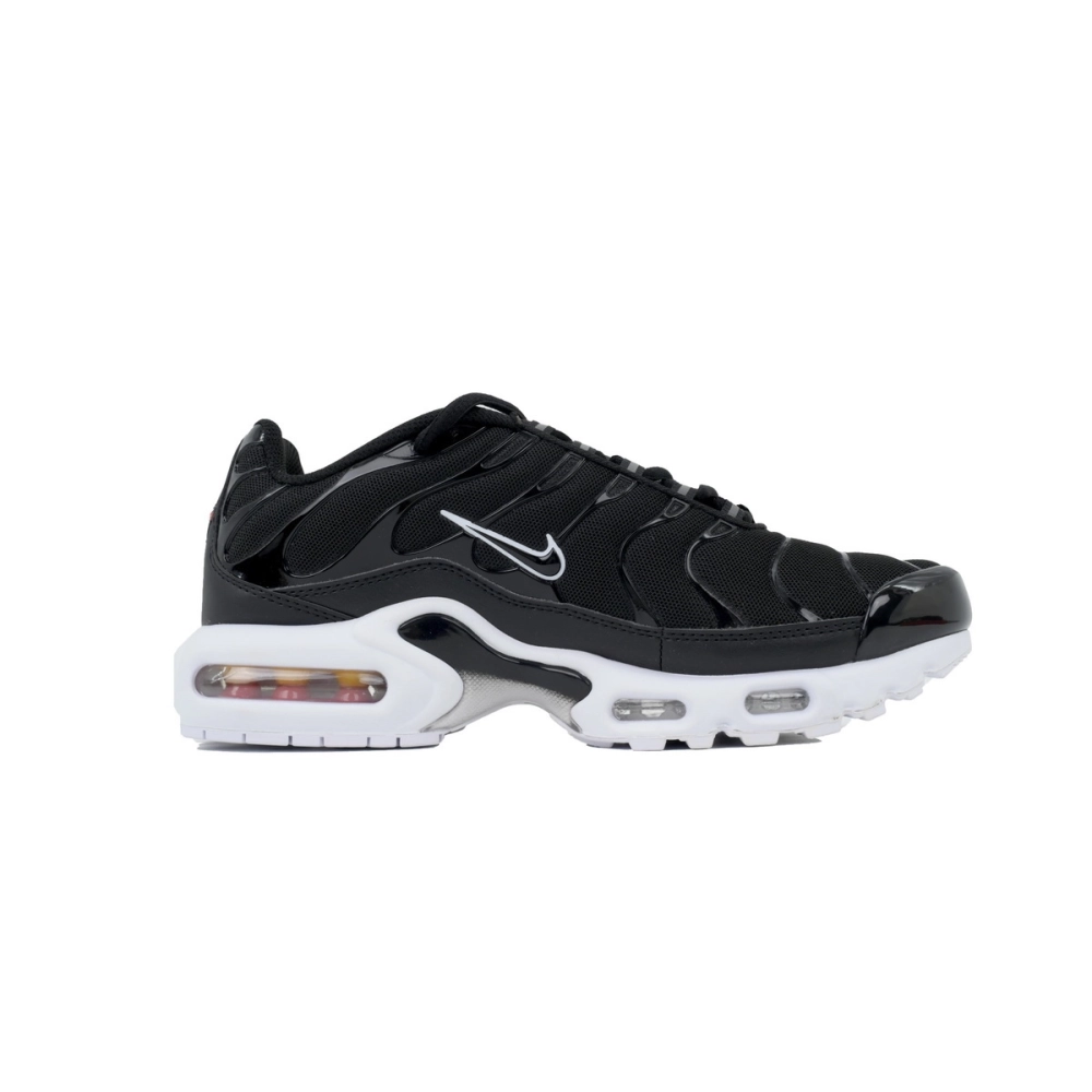 Nike Air Max Plus Black White DM2362-001