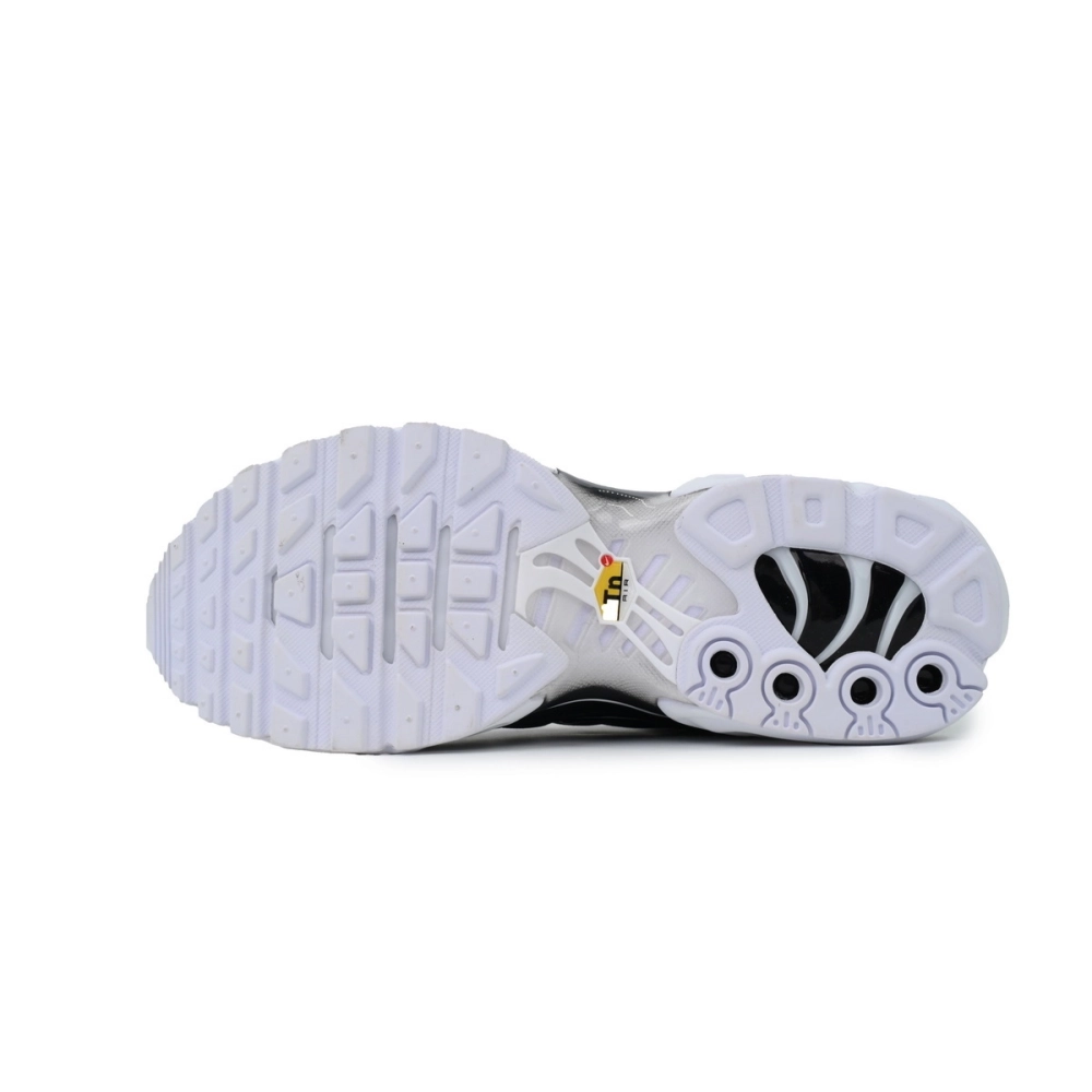 Nike Air Max Plus Black White DM2362-001