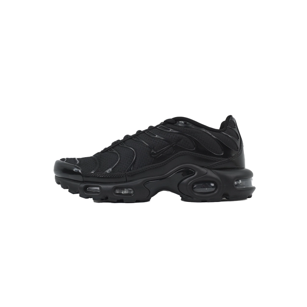 Nike Air Max Plus Triple Black 604133-050