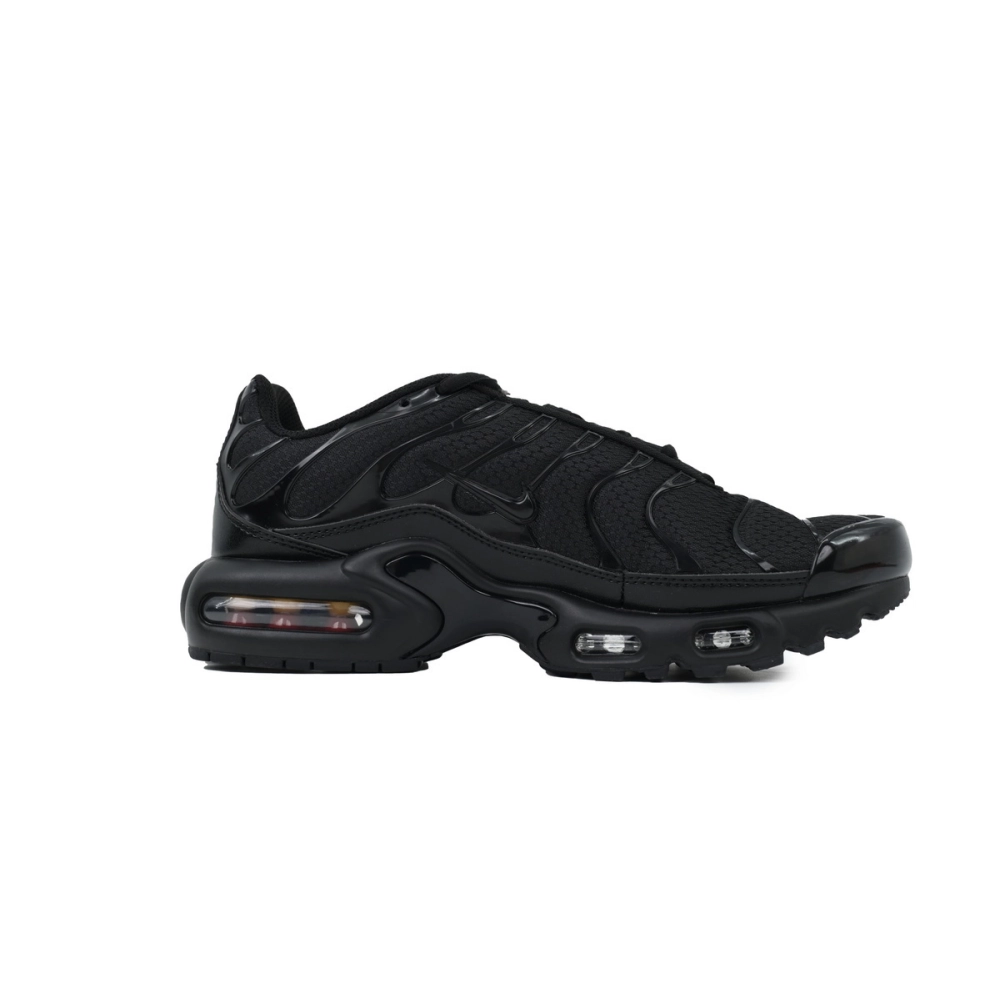 Nike Air Max Plus Triple Black 604133-050