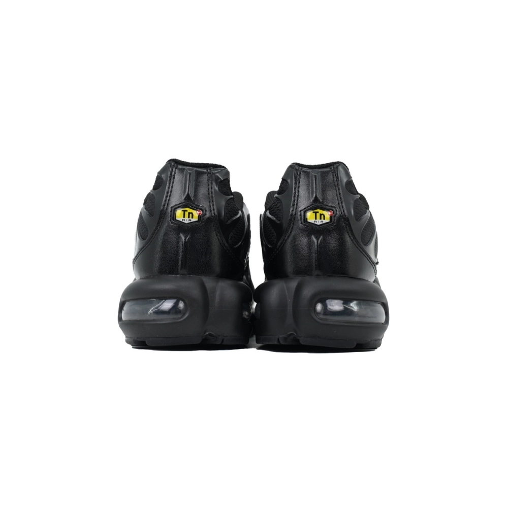 Nike Air Max Plus Triple Black 604133-050