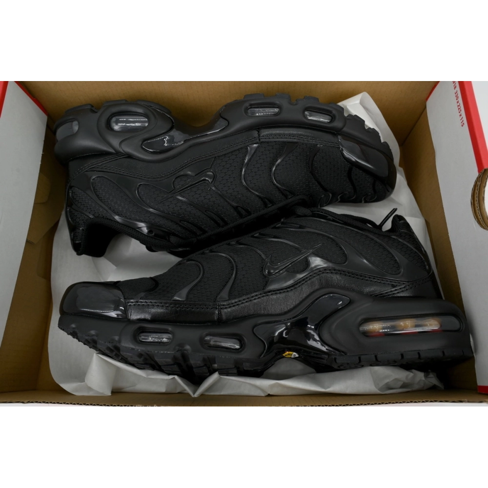 Nike Air Max Plus Triple Black 604133-050