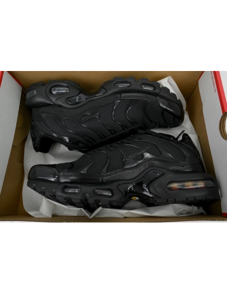 Nike Air Max Plus Triple Black 604133-050
