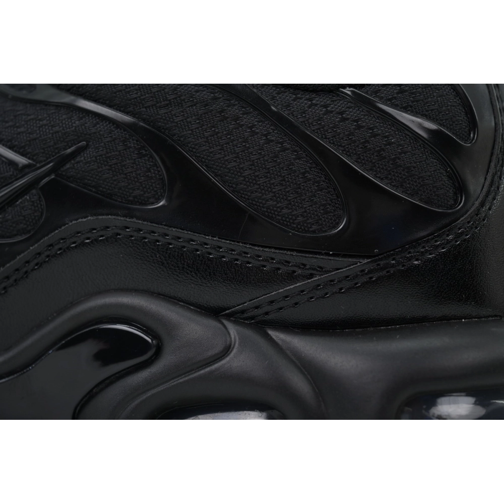 Nike Air Max Plus Triple Black 604133-050