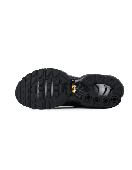 Nike Air Max Plus Triple Black 604133-050