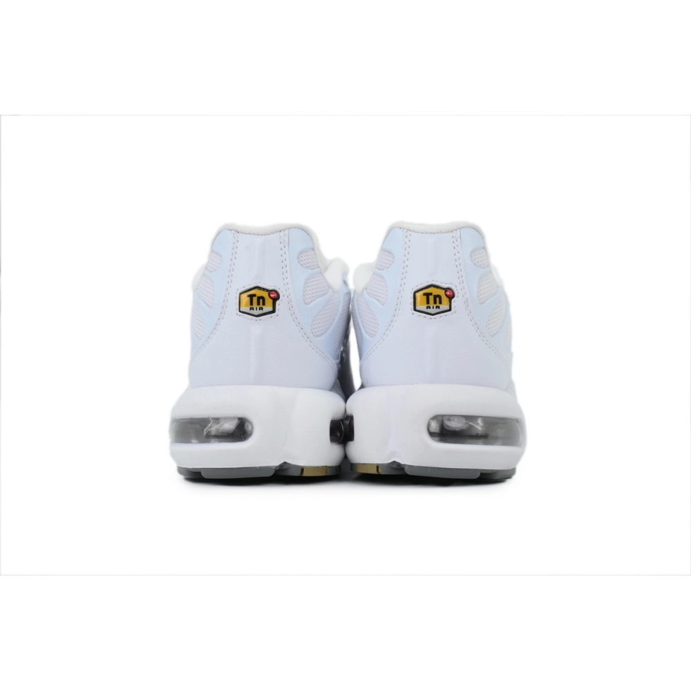 Nike Air Max Plus White 604133-139