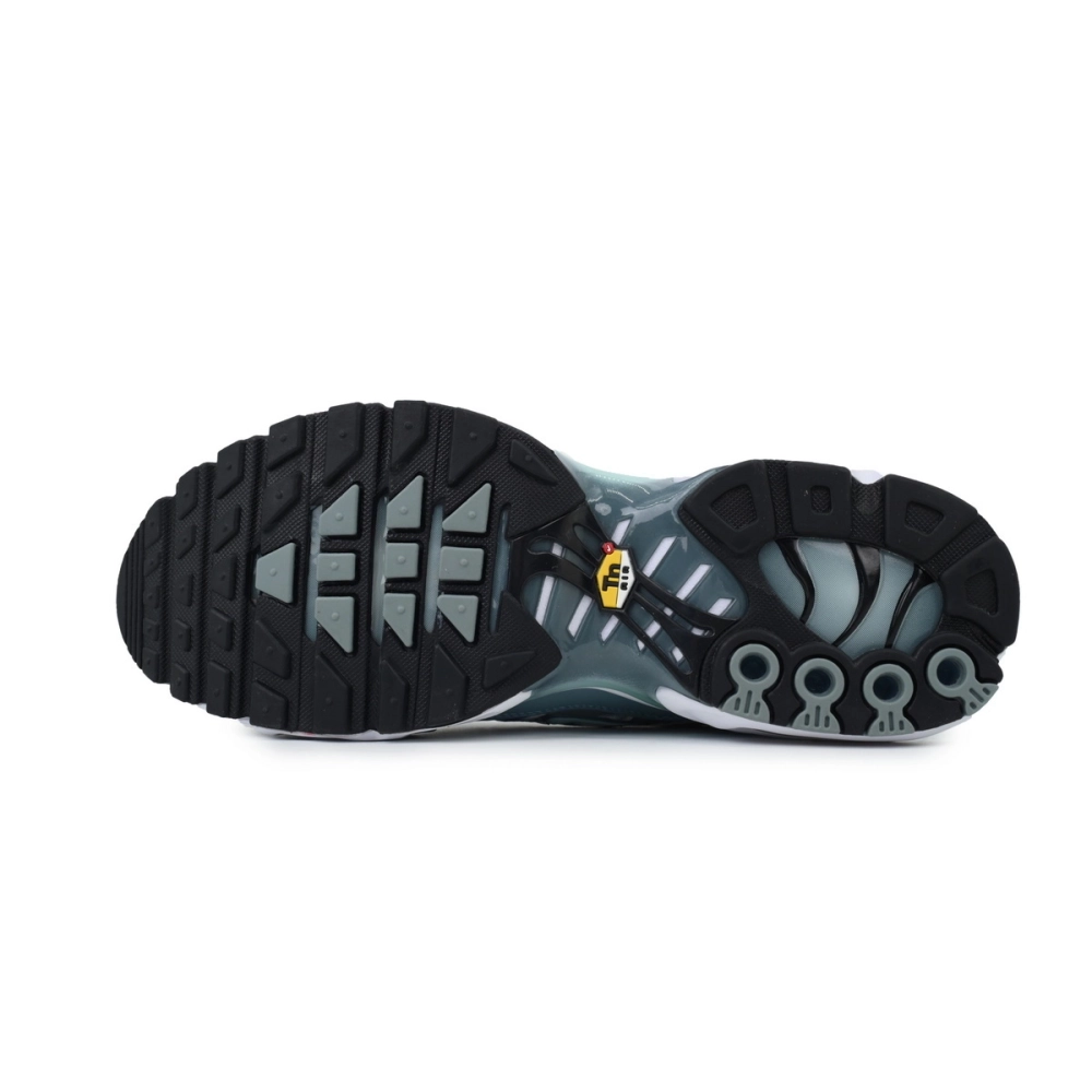 Nike Air Max Plus Palm Pack-Waterway FV0394-300