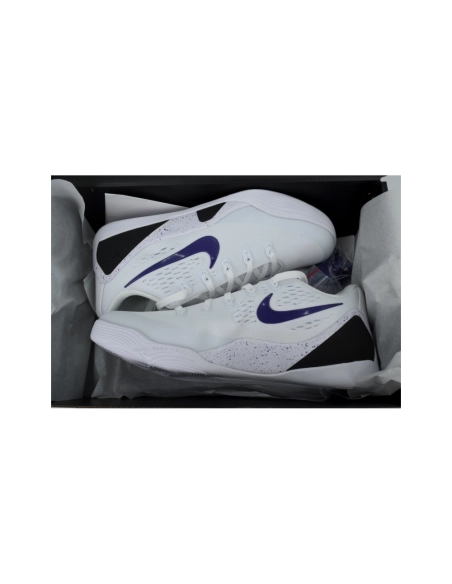 Nike Kobe 9 EM Protro TB Lakers Home IH1401-100