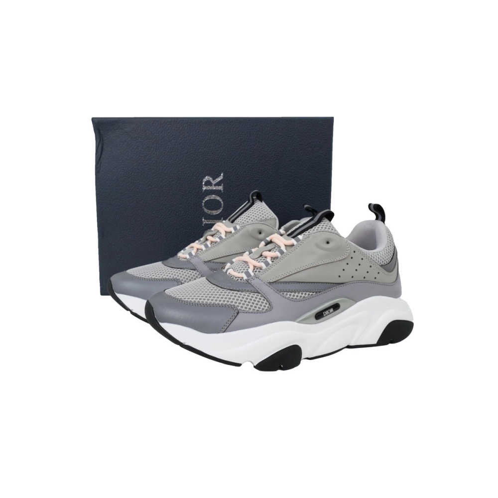 Dior B22 Gray Blue