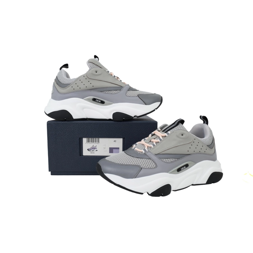 Dior B22 Gray Blue