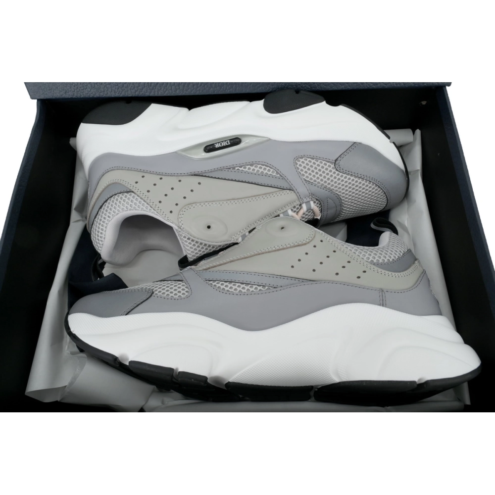 Dior B22 Gray Blue