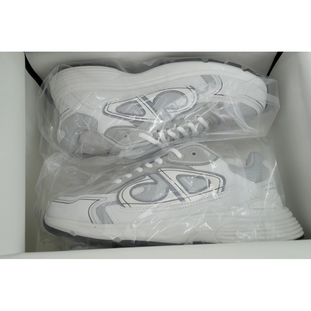 Dior B30 Countdown Sneaker Gray White