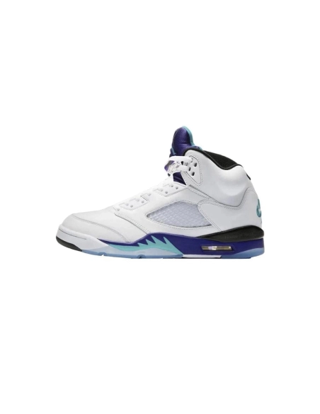 Air Jordan 5 Retro Grape 2025