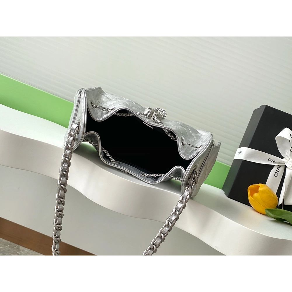 Chanel 25 Mini Handbags AS5631 20X22X12.5cm,Chanel Bags,BAGS