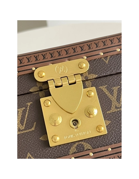 Louis Vuitton Bags,BAGS,LV-M20039260105