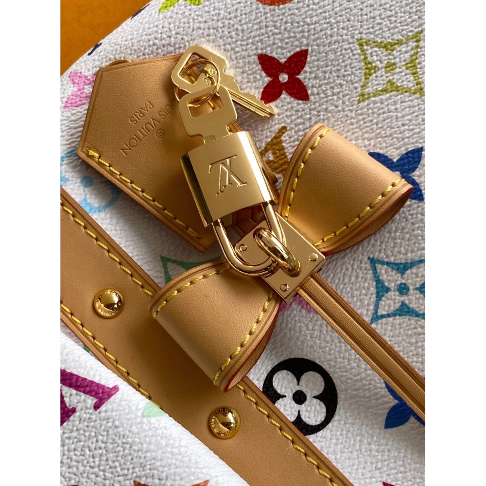 Louis Vuitton Bags,BAGS,LV-M13742260105