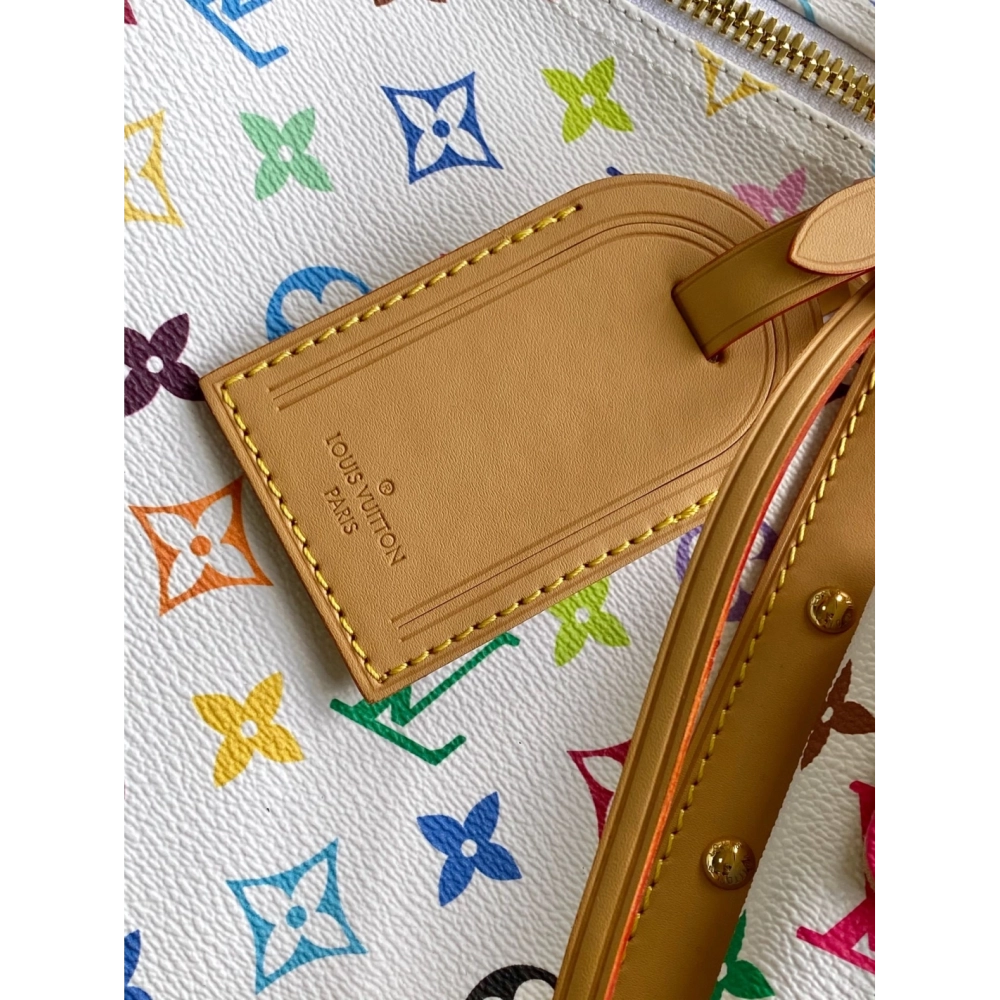 Louis Vuitton Bags,BAGS,LV-M13742260105