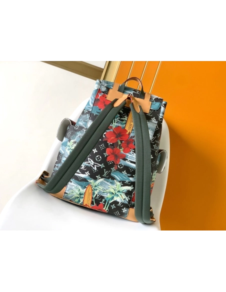 Louis Vuitton Christopher Backpacks M24996 41X47X13cm,Louis Vuitton Bags