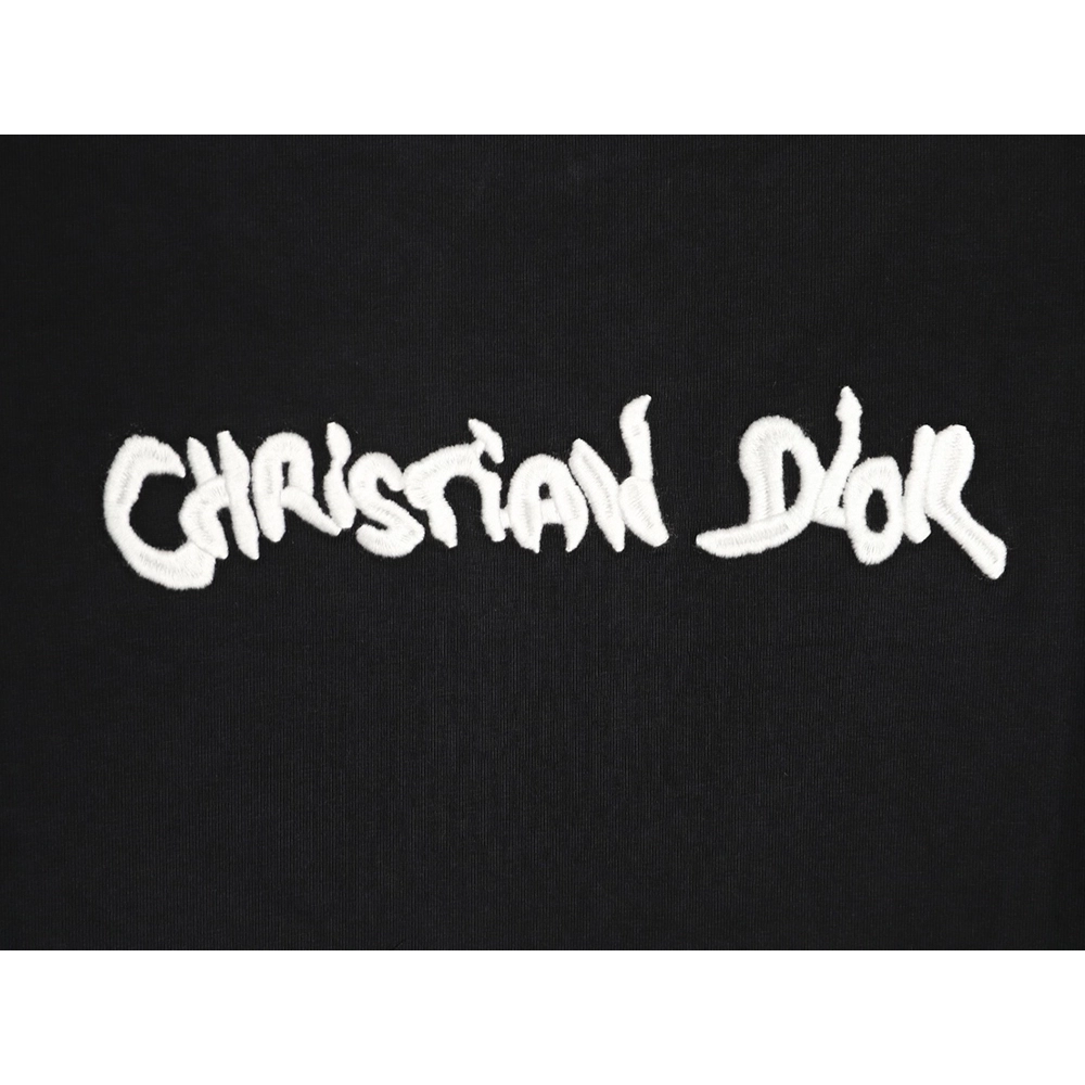 Dior logo embroidered short-sleeved T-shirt TSK1,Dior