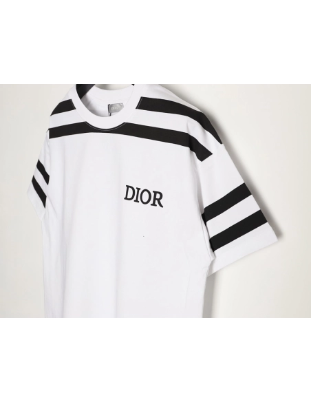 Dior color-blocked striped logo print short-sleeved t-shirt,Dior