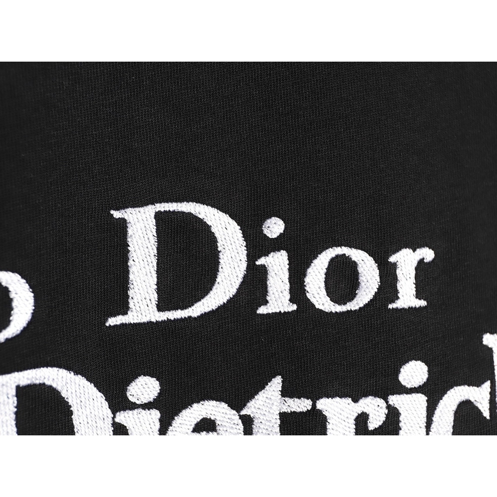 Dior embroidered logo short-sleeved shirt TSK1,Dior